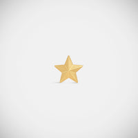 Marie Lichtenberg Staging Earring Star Stud Earring
